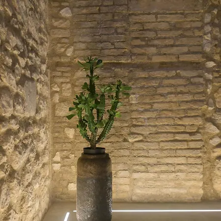 Almatros Design Loft Zaffiro * سولمونا